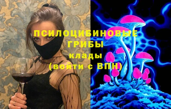 стаф Алексеевка