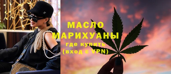 мет Алексин