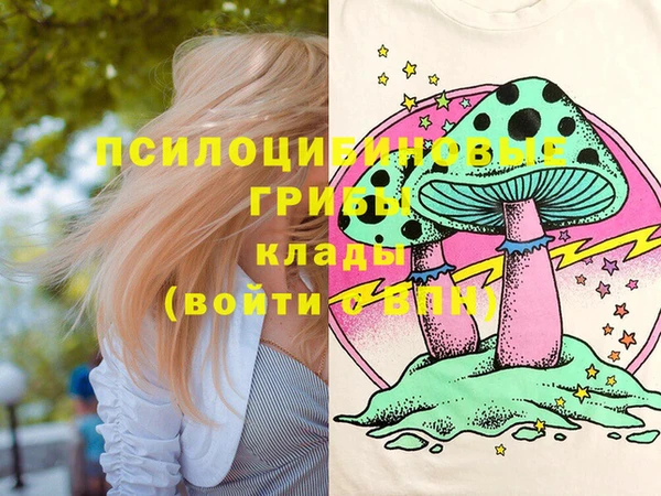 стаф Алексеевка