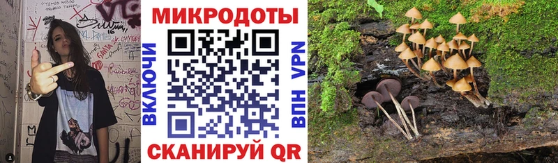 Купить где  Дальнереченск  Псилоцибиновые грибы ЛСД 