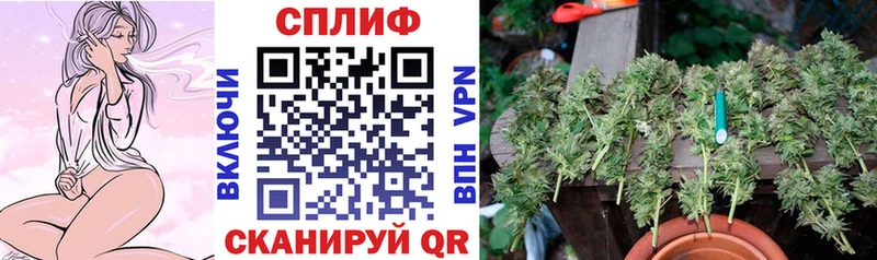 Шишки марихуана White Widow  Купить закладки  Дальнереченск 